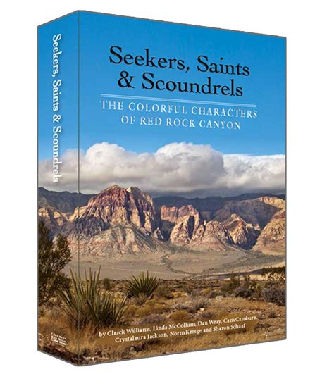 Seekers, scoundrels, and saints in pandemia .